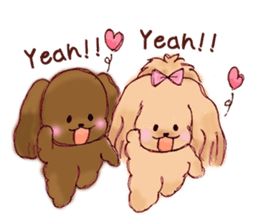 TOY POODLE English version sticker #5705244