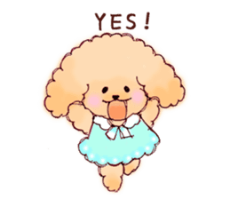 TOY POODLE English version sticker #5705248
