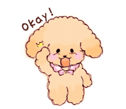 TOY POODLE English version sticker #5705249
