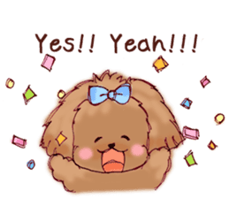 TOY POODLE English version sticker #5705252