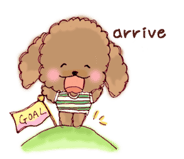 TOY POODLE English version sticker #5705263