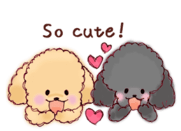 TOY POODLE English version sticker #5705264