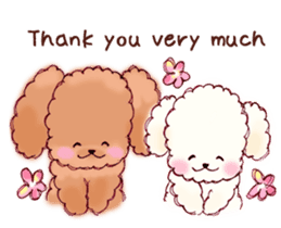 TOY POODLE English version sticker #5705271