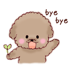 TOY POODLE English version sticker #5705272