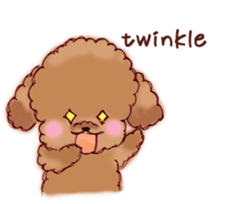 TOY POODLE English version sticker #5705274
