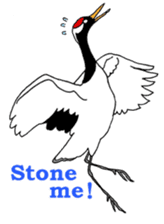 Unique birds sticker #5706070