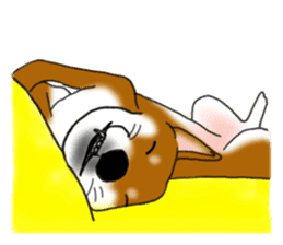 Shiba Inu Momo & his Friends in English sticker #5706396