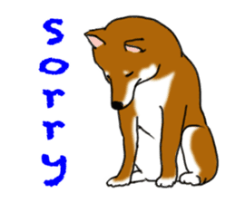 Shiba Inu Momo & his Friends in English sticker #5706397