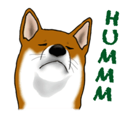 Shiba Inu Momo & his Friends in English sticker #5706398