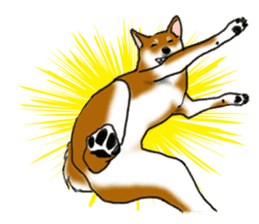 Shiba Inu Momo & his Friends in English sticker #5706401