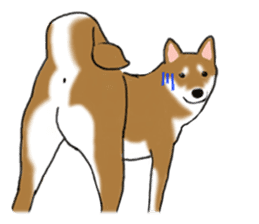 Shiba Inu Momo & his Friends in English sticker #5706402