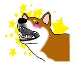 Shiba Inu Momo & his Friends in English sticker #5706405