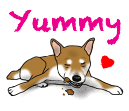 Shiba Inu Momo & his Friends in English sticker #5706406