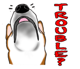 Shiba Inu Momo & his Friends in English sticker #5706408