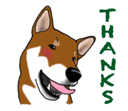 Shiba Inu Momo & his Friends in English sticker #5706409