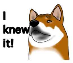 Shiba Inu Momo & his Friends in English sticker #5706412