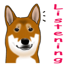 Shiba Inu Momo & his Friends in English sticker #5706413