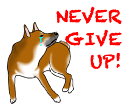 Shiba Inu Momo & his Friends in English sticker #5706415