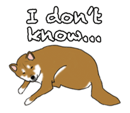 Shiba Inu Momo & his Friends in English sticker #5706418