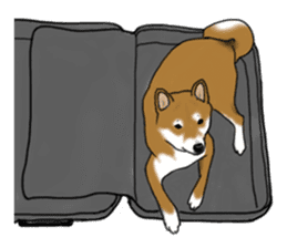 Shiba Inu Momo & his Friends in English sticker #5706419