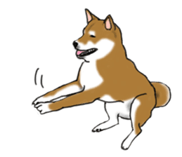 Shiba Inu Momo & his Friends in English sticker #5706420