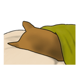 Shiba Inu Momo & his Friends in English sticker #5706422