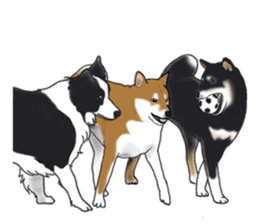 Shiba Inu Momo & his Friends in English sticker #5706424