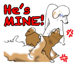 Shiba Inu Momo & his Friends in English sticker #5706426