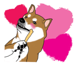 Shiba Inu Momo & his Friends in English sticker #5706428