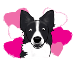 Shiba Inu Momo & his Friends in English sticker #5706430