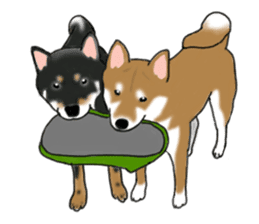 Shiba Inu Momo & his Friends in English sticker #5706433