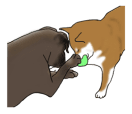 Shiba Inu Momo & his Friends in English sticker #5706434