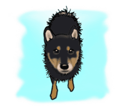 Shiba Inu Momo & his Friends in English sticker #5706435