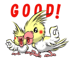 Marron and melon sticker #5709855