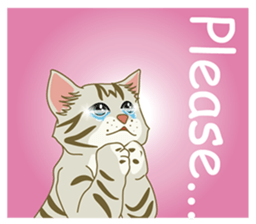 I Like cat ! (English version) sticker #5710695