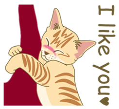 I Like cat ! (English version) sticker #5710696