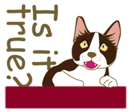 I Like cat ! (English version) sticker #5710719