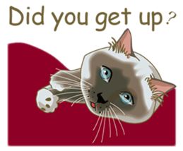 I Like cat ! (English version) sticker #5710725