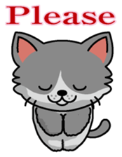 Cat business English version sticker #5711092