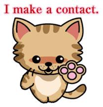 Cat business English version sticker #5711094