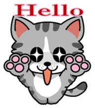 Cat business English version sticker #5711095