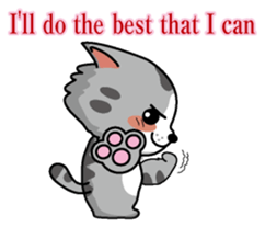 Cat business English version sticker #5711101