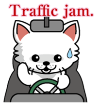 Cat business English version sticker #5711102