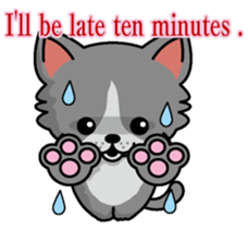 Cat business English version sticker #5711104