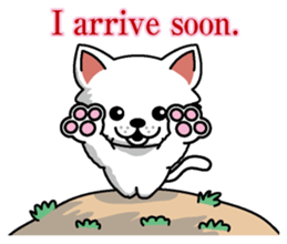 Cat business English version sticker #5711108