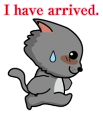 Cat business English version sticker #5711109