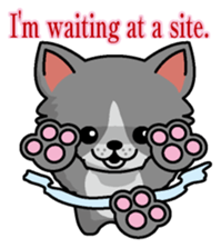 Cat business English version sticker #5711110