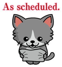 Cat business English version sticker #5711116