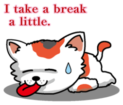 Cat business English version sticker #5711117