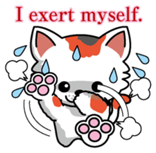 Cat business English version sticker #5711129